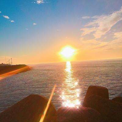 狗万manbetapp下载