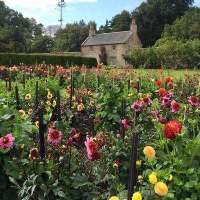 新乐动体育app下载官网