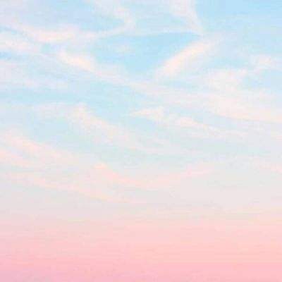 半岛app下载入口