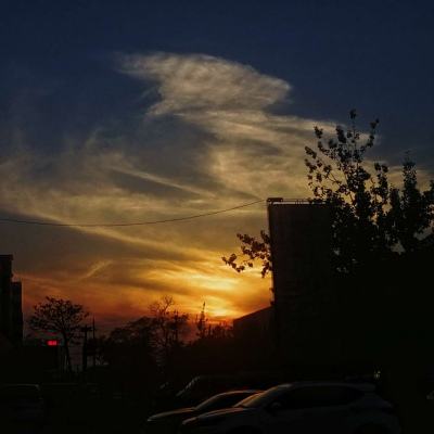 乐发ll彩票app下载