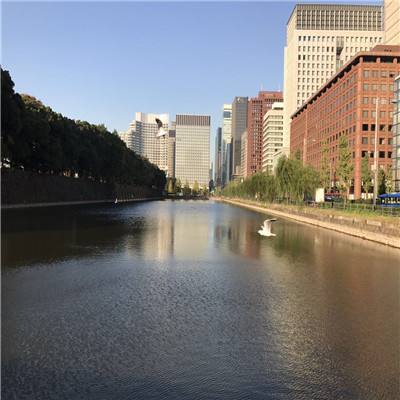 天博平台(中国)官方网站