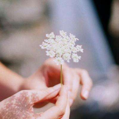 pg电子下载网址