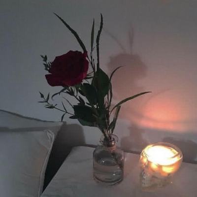 博雅.体育app手机版下载手机app下载